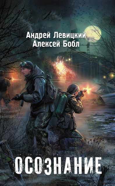 Я — сталкер. Осознание, Алексей Бобл, Андрей Левицкий