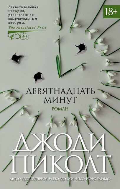 Девятнадцать минут, Джоди Пиколт