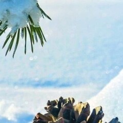 Рождество и Новый год